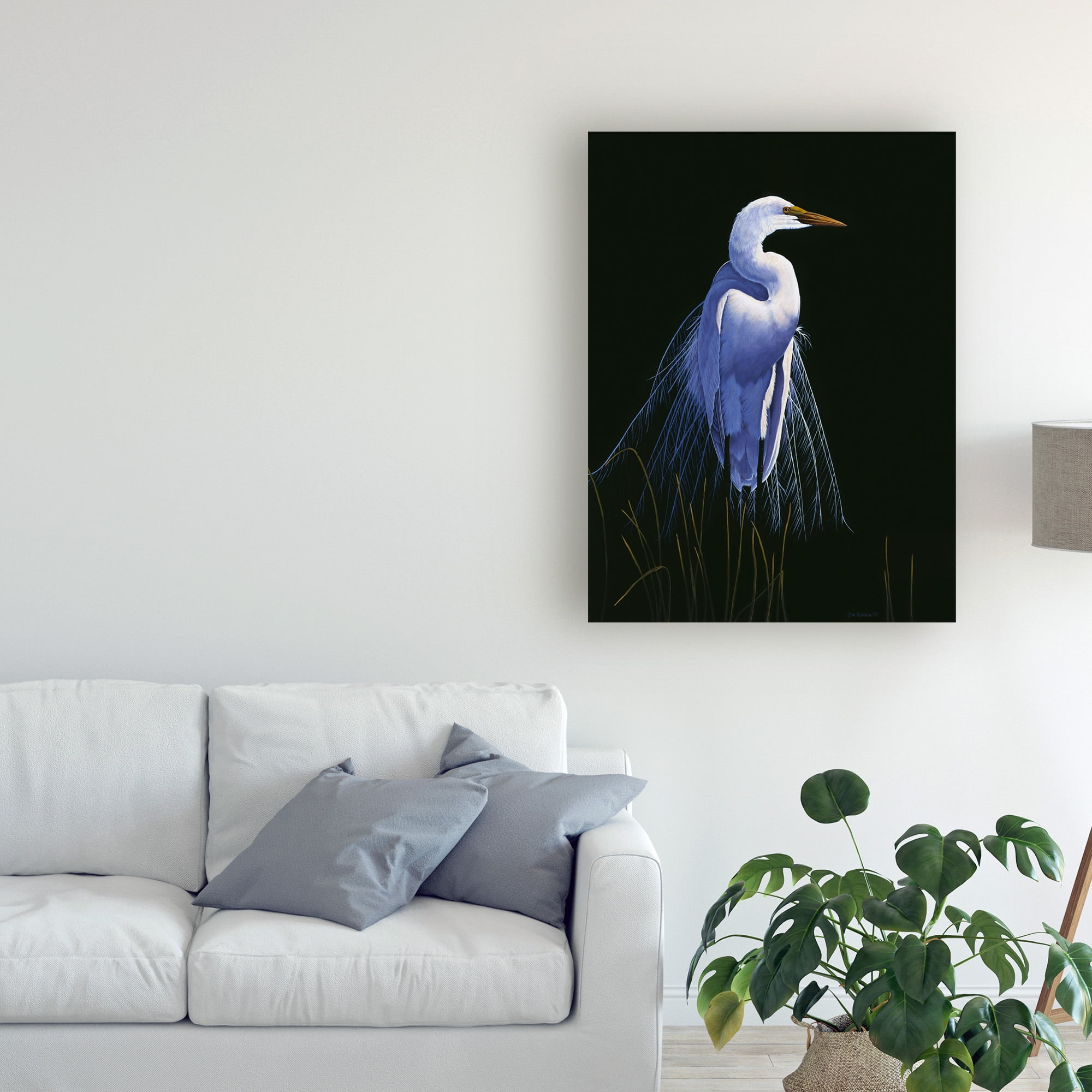Trademark Fine Art 'Common Egret In Breeding Plumage' Canvas Art by Michael Budden