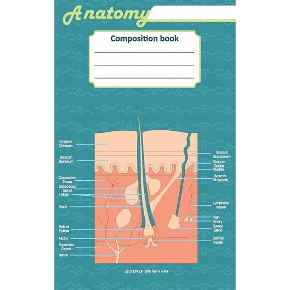 Anatomy composition book : 200 ruled line page 5" x 8"(12.7 x 20.32 cm). Notebook with a detailed scientific view of the human skin and a human spinal column. (Paperback)