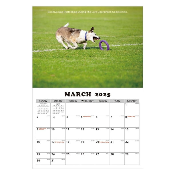 YHAIOGS Calendar 2022 2025 Wall Calendar Calendar 2025 Puppies Monthly