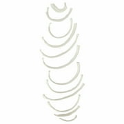 Axis Scientific Set of 12 Disarticulated Ribs - Left, life size skeleton model, human full body anatomical models figure, anatomy medical study, human rib model.