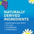 thumbnail image 3 of Vicks Botanicals Kids Drug-Free Nighttime Cough Syrup, Berry Flavor, 4 fl oz, Ages 1+, 3 of 13