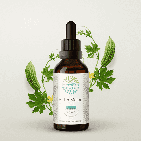 HerbEra Bitter Melon Tincture, Herbal Dietary Supplement for Blood Sugar Support, Bitter Melon (Momordica charantia) Dried Fruit Extract, Natural, Alcohol Tincture, Drops 2 oz