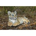 thumbnail image 3 of Garden Decor Animal Statue Baby Yellow Tiger Cub Laying Down Statue, 3 of 5