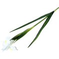 thumbnail image 1 of Modern Home Decor, Flower | Flowers Artificial for Decoration | Wedding Bridal Home Kitchen Décor | Real Long Stems | Real Looking Flower Arrangements, 1 of 4