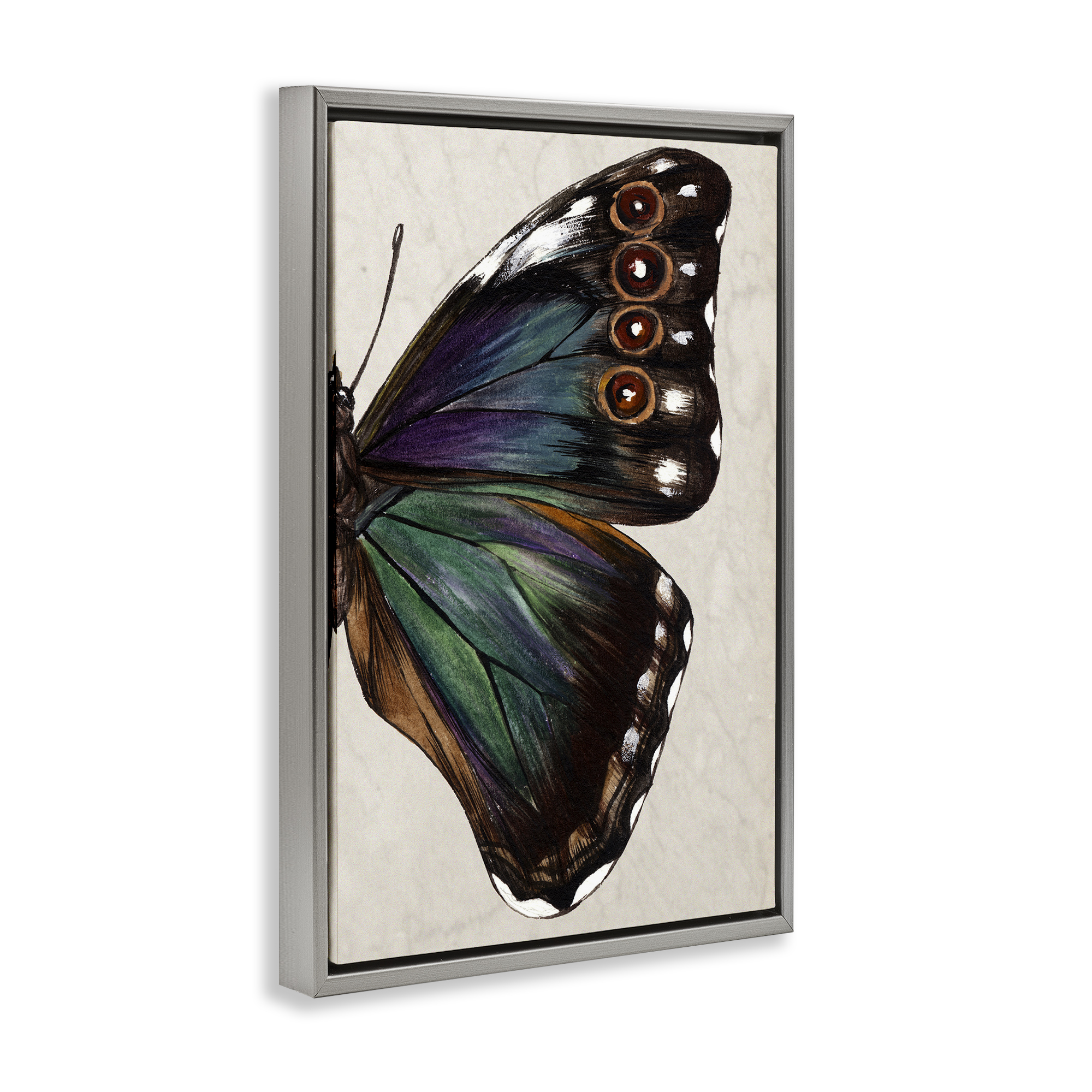 Stupell Industries Classic Butterfly Wing Animals & Insects Painting Gray Floater Framed Canvas Art Print Wall Art, 21 x 31