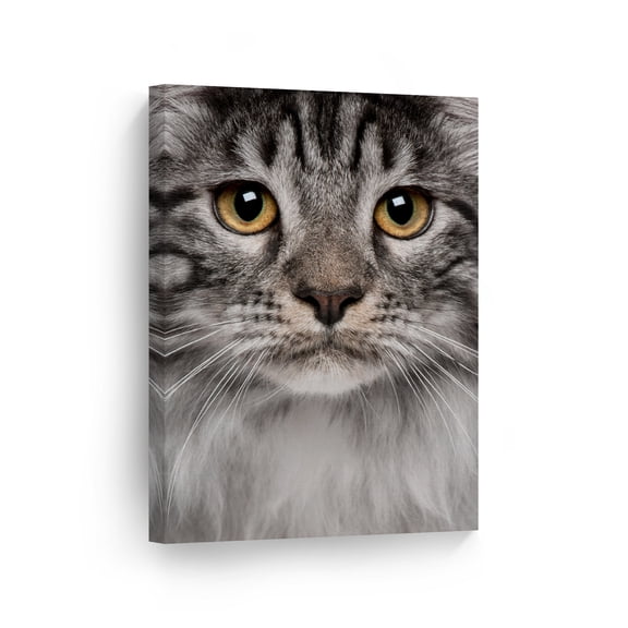 Smile Art Design Portrait of Cute Gray Maine Coon Cat Animal Canvas Wall Art Print Pet Owner Cat Lover Mom Dad Gift Office Living Room Bedroom Kids Baby Nursery Room Decor Ready to Hang - 28x19