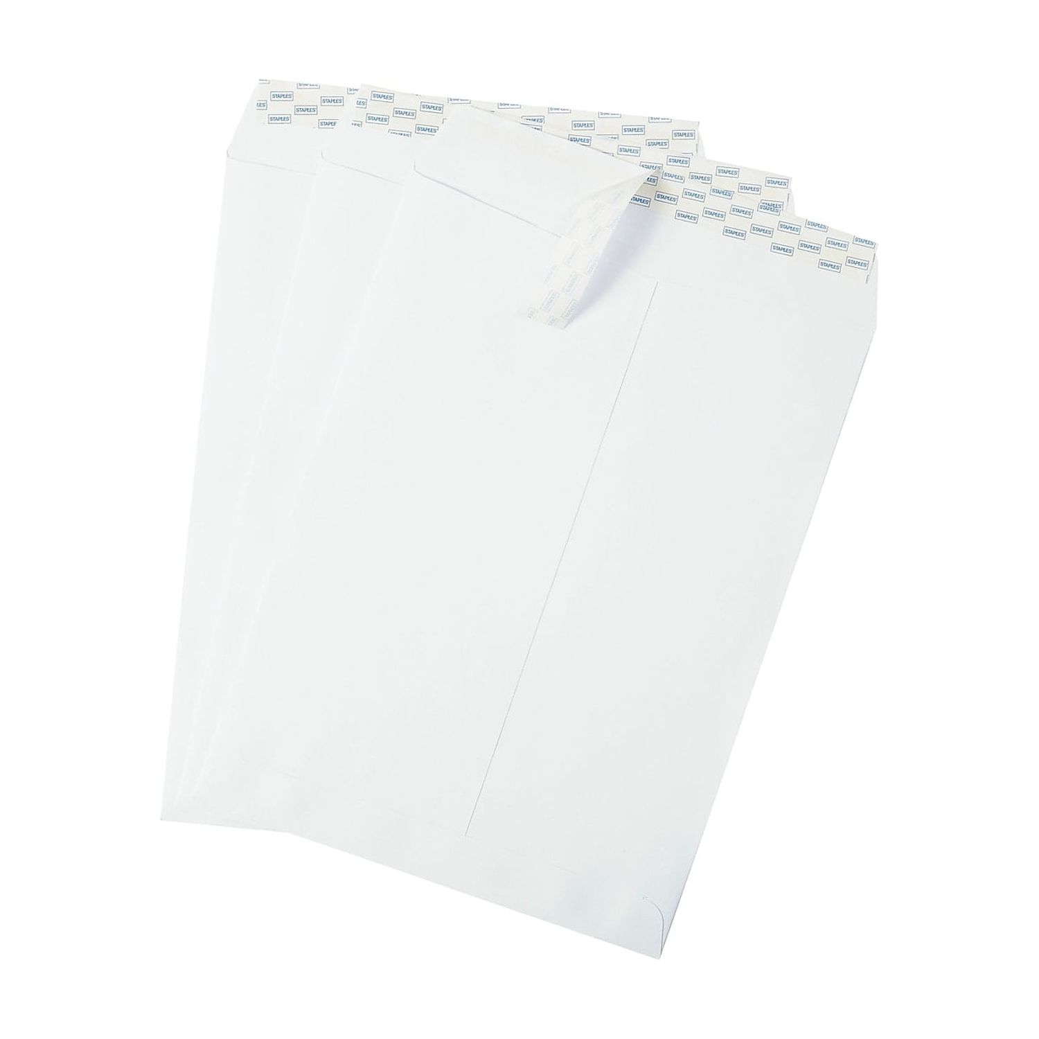 Staples EasyClose Catalog Envelopes 9"L x 12"H White 100/Box (379479/19026)