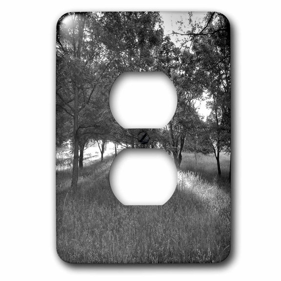3dRose, Rays of the Sun Through the Trees Black and White, 2 plug outlet cover