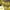 Yellow #2, variant on Nrmrqz LED Lemon String Lights 1 Set Of 1.5 Meters 10 Lights Party Ambient Lights Birthday Decoration Fruit Shape Battery Operated