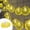 Yellow_Hot#2922, variant on Best Bargains LED Lemon String Lights - 1.5m with 10 Fruit-Shaped Lights - Battery Operated for Birthday Parties and Ambient Decor - Perfect for Indoor/Outdoor Use - 3 AA Batteries Required (No