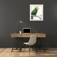thumbnail image 3 of Wild Apple Portfolio 12x14 White Modern Wood Framed Museum Art Print Titled - Parrot Botanique I, 3 of 4