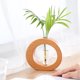 thumbnail image 4 of Soporte de tubo de ensayo hidropónico de madera para plantas de interior - Maceta de vidrio decorativa moderna, 4 of 5