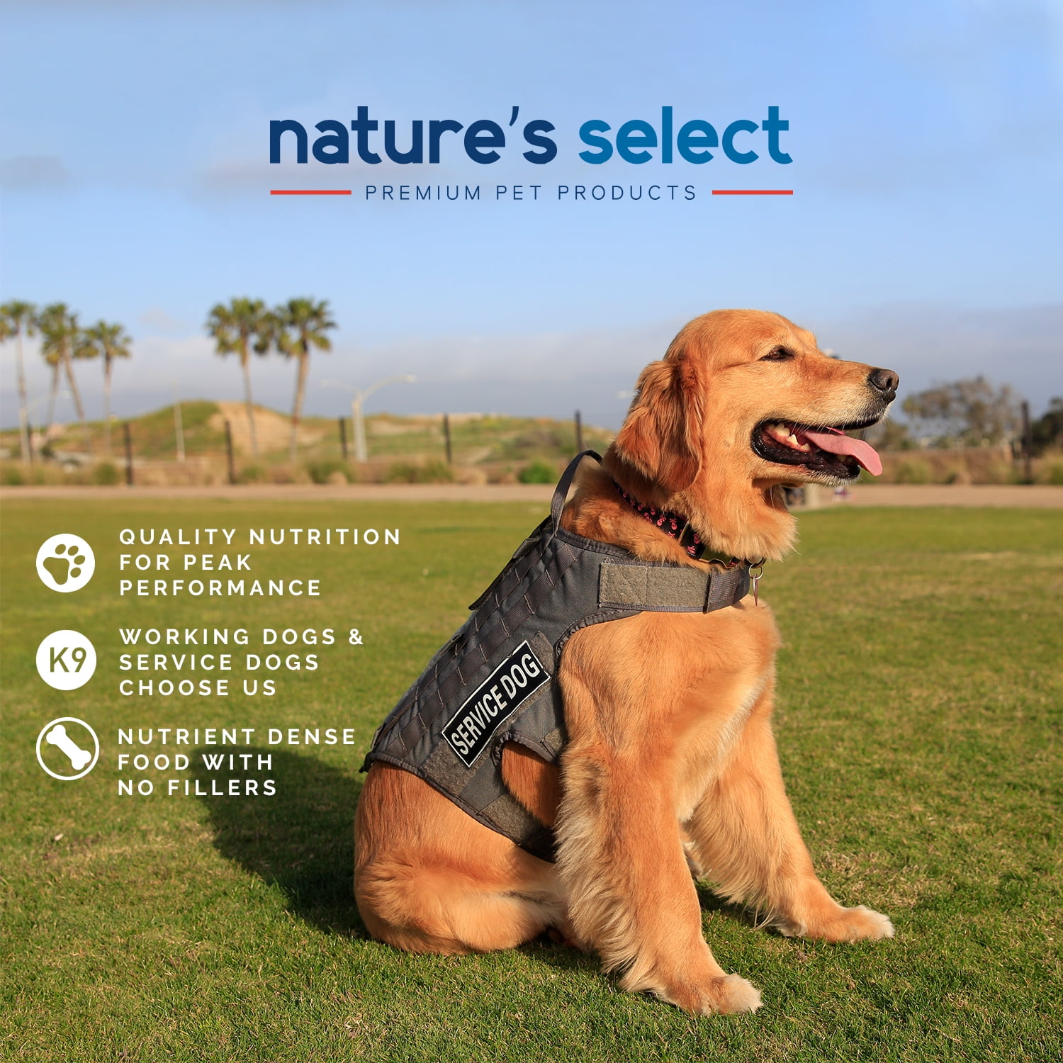 Nature's Select - Beef Formula Paté - Canned Food for Dogs (Case of 12)