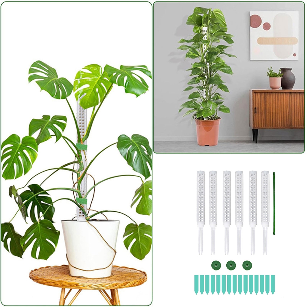 ZPAQI Plastic Moss Poles for Garden Plant Climbing Frame Plant Trelli Support Stick
