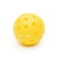 thumbnail image 2 of Pickleballs extérieurs Black Knight, 2 of 2