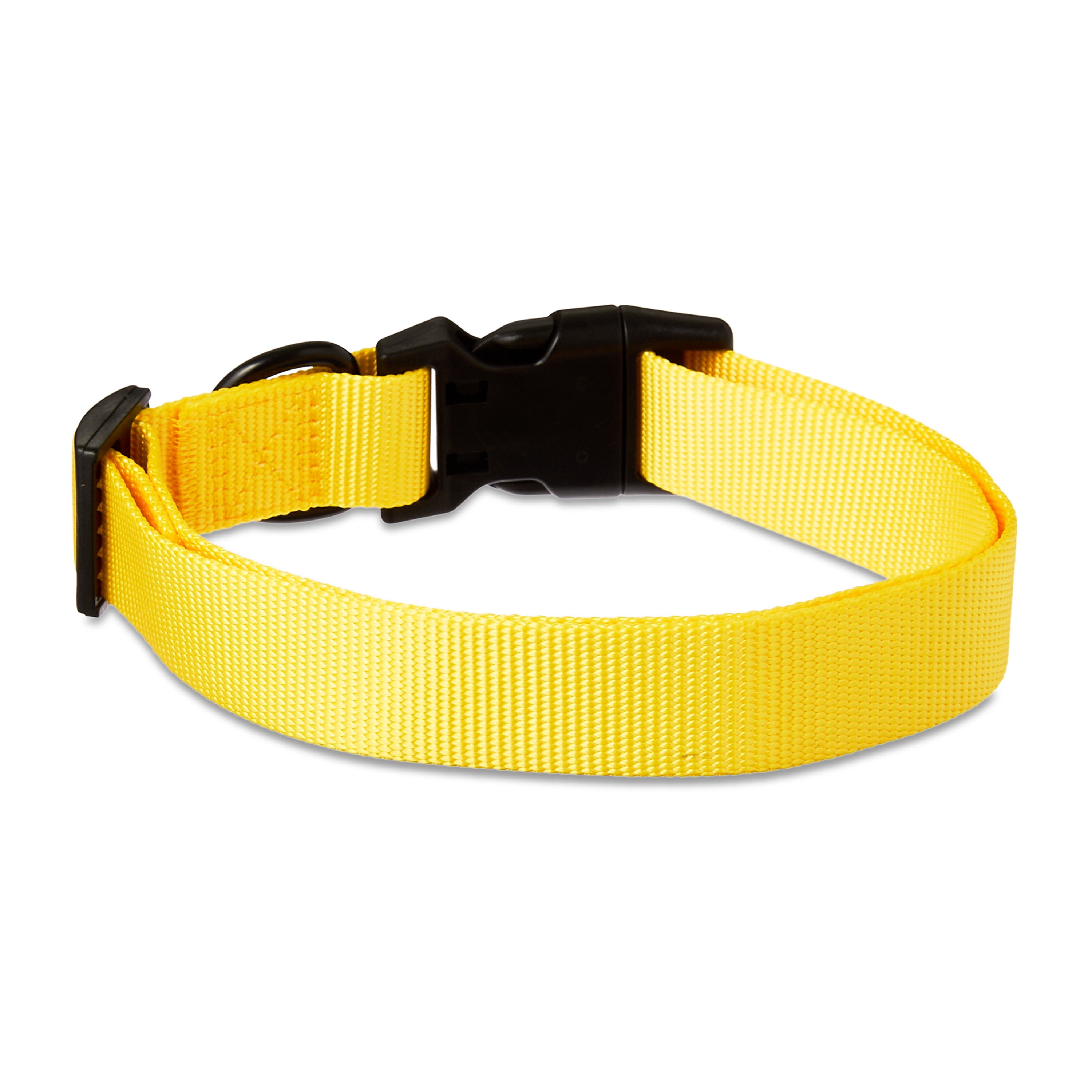 Vibrant Life Polyester Adjustable Dog Collar, Yellow, L
