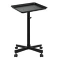 thumbnail image 1 of Bandeja de salón FWOD BIBTO con patas de metal con altura ajustable, color negro, 1 of 7