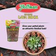 thumbnail image 3 of 14452 Volcanic Lava Rock, 2 Quarts, 3 of 5