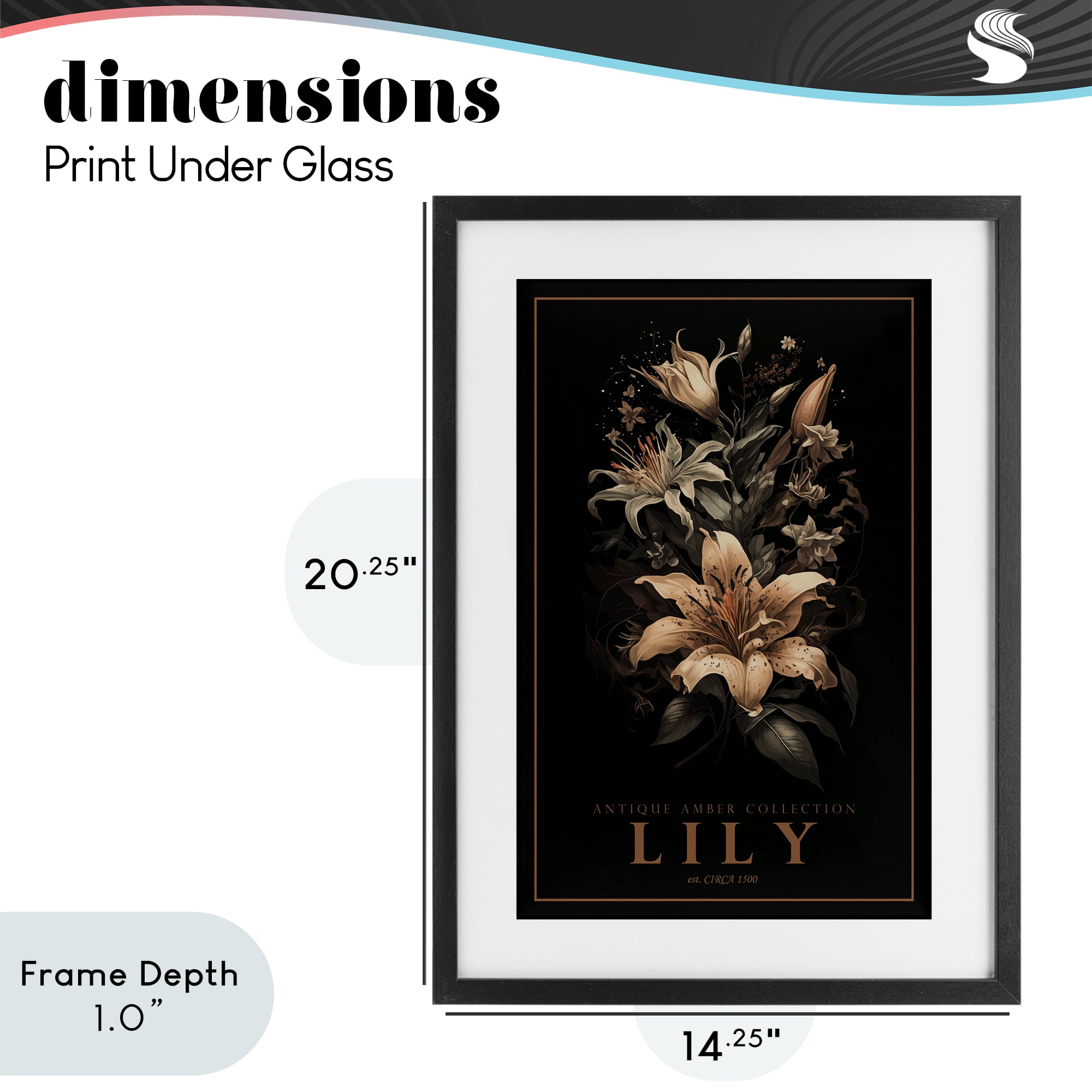 Stupell Industries Antique Lily Light Black Framed Print Under Glass, design by Chris Giampietro