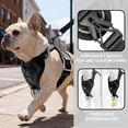 thumbnail image 3 of PayUSD Dog Harness with Leash Cat Harness No Pull Adjustable No Choke Pet Vest for Small Dogs Cats, 3 of 9