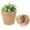 Z3-Brown, variant on Plant Basket,Woven Plant Basket,2 PCS Plant Baskets Indoor with Plastic Liner,Water Hyacinth Woven Planters Flower Basket,Planter Basket for Rustic Boho Home Farmhouse Floor Potted Pots Decor(Brown)