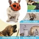 thumbnail image 5 of Short Snout Dog Muzzle Bulldog Muzzle Adjustable Breathable Mesh for Training Biting Barking, 5 of 5