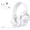 White, variant on Breynko Wireless Gaming Headset, 2.4GHz USB Gaming Headphones with Bluetooth, Flip-to-Mute Mic, RGB Light, 3.5mm Wired for Xbox, Compatible with PC, PS5, PS4, Switch, Mobile,Steel Frame,Black