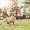 thumbnail image 3 of 3pcs Squeaky Dog Ball, Scooby Doo Dog Ball Toy Teeth Cleaning Puppy Interactive Chew Durable Toy, 3 of 5