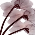 thumbnail image 2 of Koetsier, Albert 20x20 White Modern Wood Framed Museum Art Print Titled - Burgundy  Luster, 2 of 4