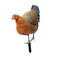 thumbnail image 1 of Escultura realista de pollo, letrero de gallina, decoración de suelo, figuras de gallo realistas B, 1 of 9