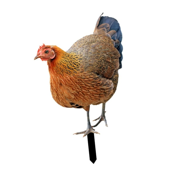 Estatua de animal de jardín en forma de estaca, gallina, decoración de Pascua, figuras decorativas para el suelo. B