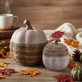 thumbnail image 7 of Ayieyill 2pcs Resin Pumpkin Decorations with Rattan Style Fall Decor Autumn Decor Thanksgiving Decorations for Home, 7 of 7