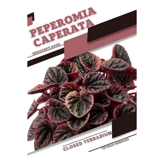 Peperomia caperata: Closed terrarium, Beginner's Guide, (Paperback)