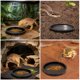 thumbnail image 4 of CHICHUMID Para Reptiles Plástico Negro Compacto Para Alimentación Cómoda En El Hogar O Terrario, 4 of 6