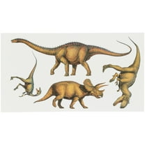 Dinosaur Wall Decals