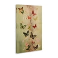 thumbnail image 3 of Stupell Industries Bohemian Fluttering Butterfly Array Canvas Art, 16 x 24, by Petals Prints Design, 3 of 8
