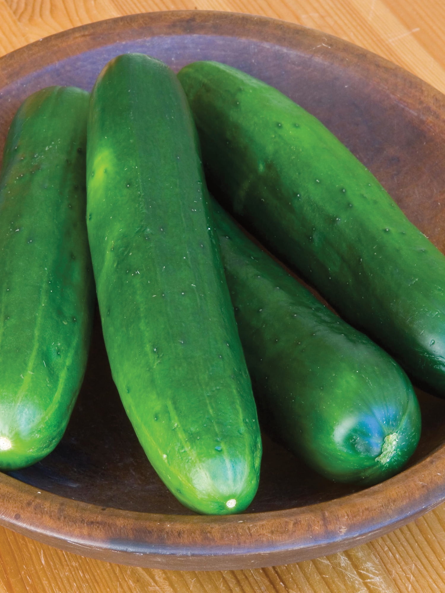 Burpee Burpless Beauté Concombre, Burpless