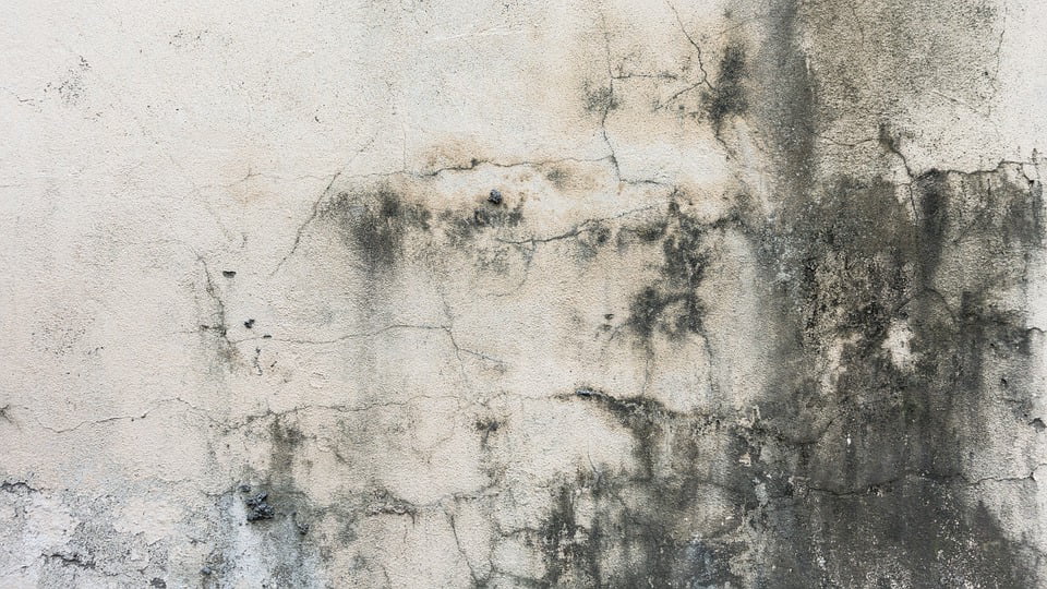 Canvas Print Grunge Background Texture Crack Lines Wall Design