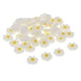 thumbnail image 6 of 50x Resin Daisy Flat Back Cabochon Making Craft Button, 6 of 6