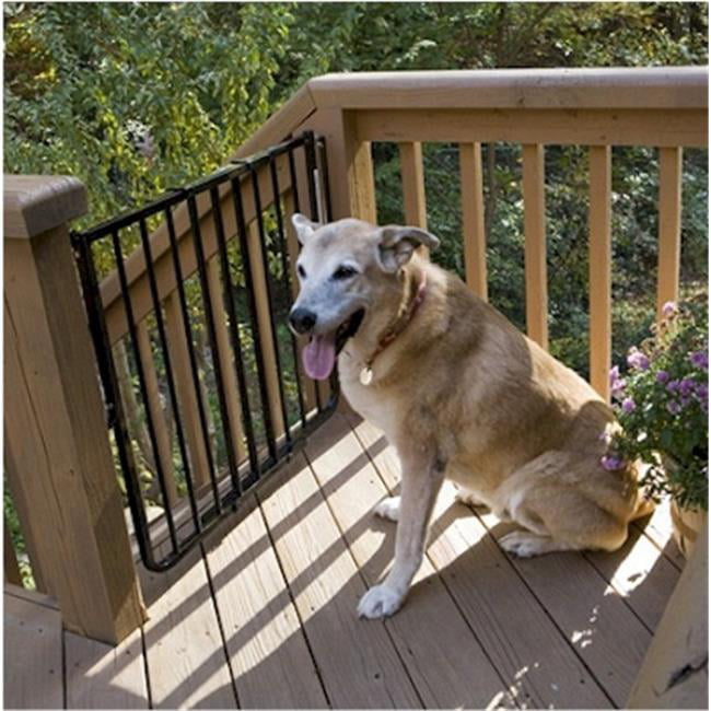 Dog Supplies Stairway Special Outdoor, Outdoor Dog Gates
