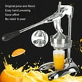 thumbnail image 3 of Presse-agrumes Manuel, Acier Inoxydable, Design Séparé, Presse-Fruits Manuel avec Base en U, 3 of 9