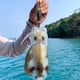 thumbnail image 4 of Señuelo de pesca fluorescente con cuentas integradas cebo luminoso para Jigging herramientas de pesca nocturna, 4 of 6
