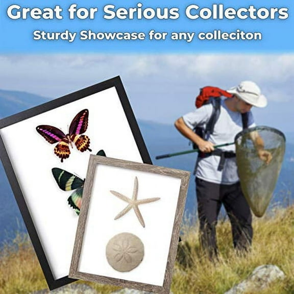 Super-Sturdy 11x14 Black Shadow Box Frame With Glass 2 Pk. Fill Large Wood Memory Box With Wedding Flowers, Jerseys, Cute Pet Photos, Ticket Stubs, or Medals. Great Seashell Displa