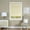 Alabaster, variant on Honeycomb Cellular White Pleated Cordless Shade 31x64