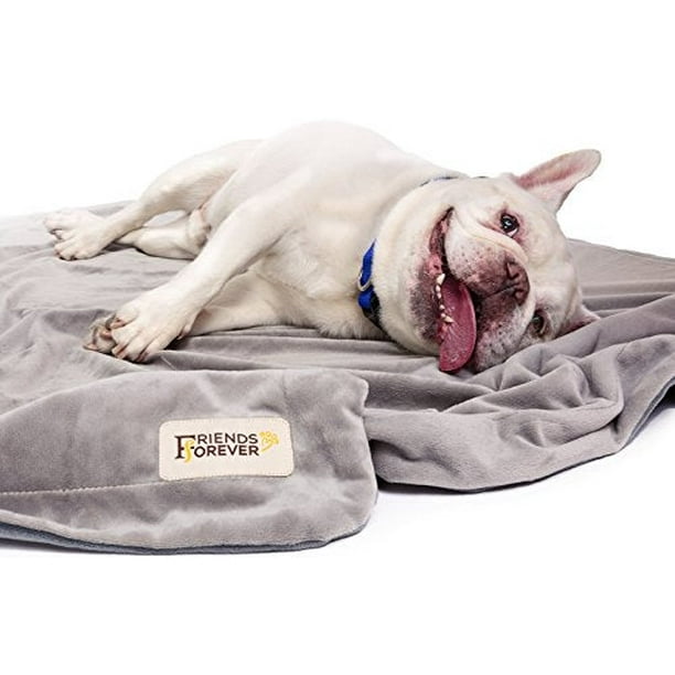 Friends Forever Durable Dog Blanket for Couch Protection Two Tone Reversible Pet Hair Resistant Blanket for Dogs Cats Bed Kennel Crate Car Seat Soft Velvet Warm Fleece Medium 45x35 Walmart