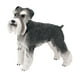 thumbnail image 4 of Figura de perro realista en miniatura, Schnauzer estándar, manualidades de imaginación, juguete realista de PVC, estatua de perro Animal coleccionable, 4 of 10