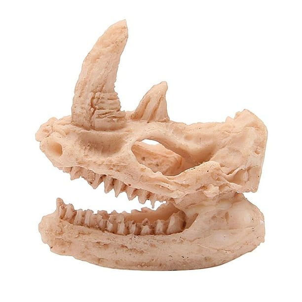 Clairlio Dinosaur Skull Resin Sculpture Statue Skeleton Model Fish Tank