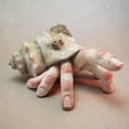 thumbnail image 3 of Realistic Resin Fingercrab Unique Desktop Ornament for Distinctive Decoration & Hangs, 3 of 7