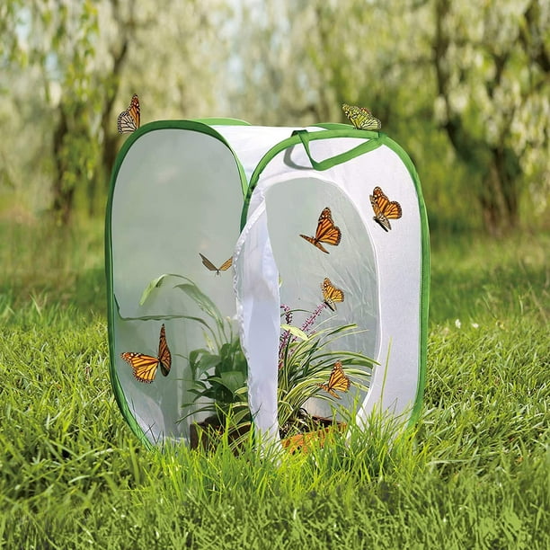 Htooq Square Butterfly Cage Set, Insect And Butterfly Habitat Cage, Collapsible Caterpillar Habitat, 23 In Tall Without Living Butterfly - - Other 