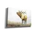 thumbnail image 2 of Epic Graffiti 'Majestic Elk' by James Wiens, Canvas Wall Art, 40"x26", 2 of 8